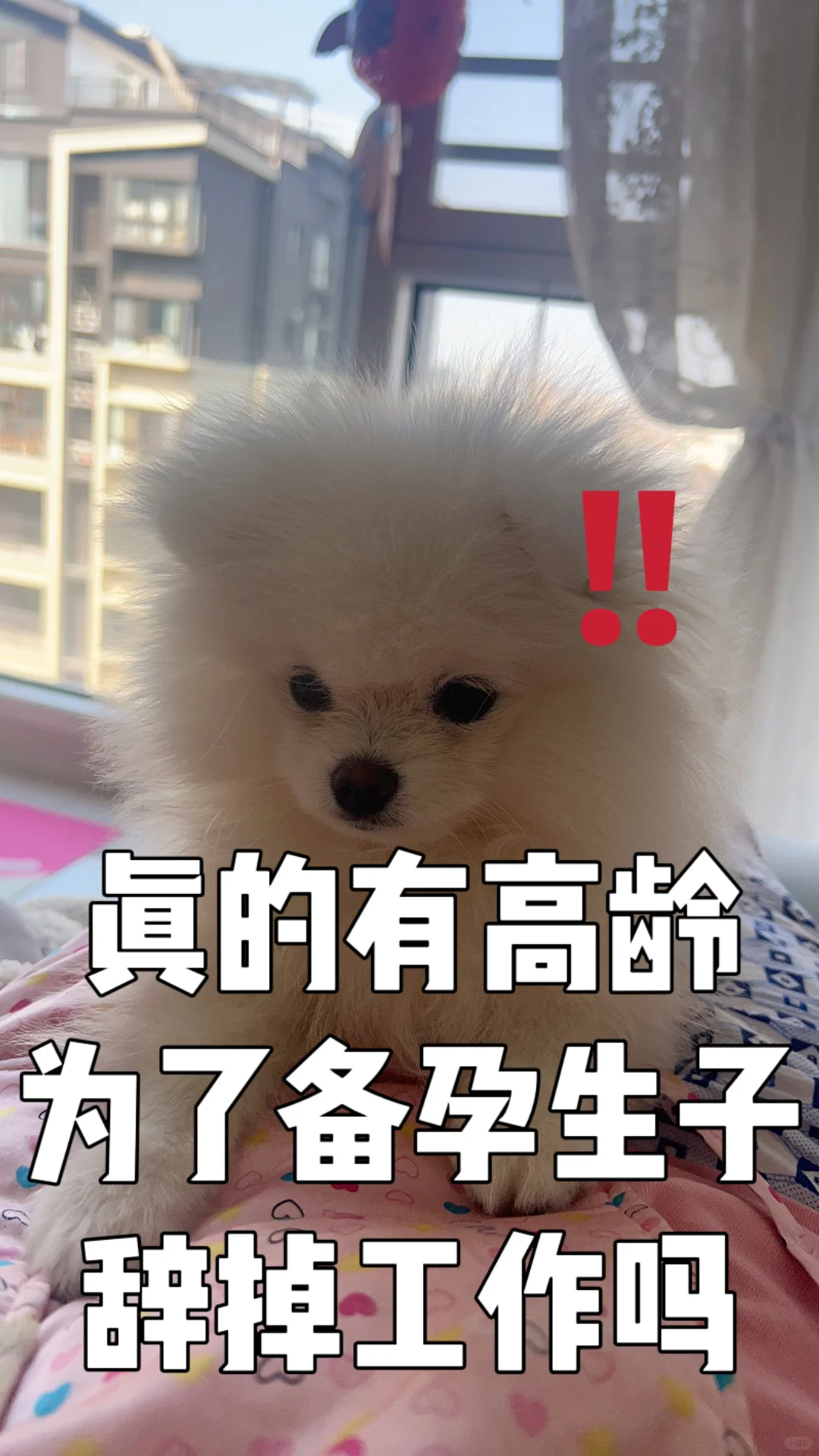 是否该为备孕辞职？了解供卵助孕中介机构的电话