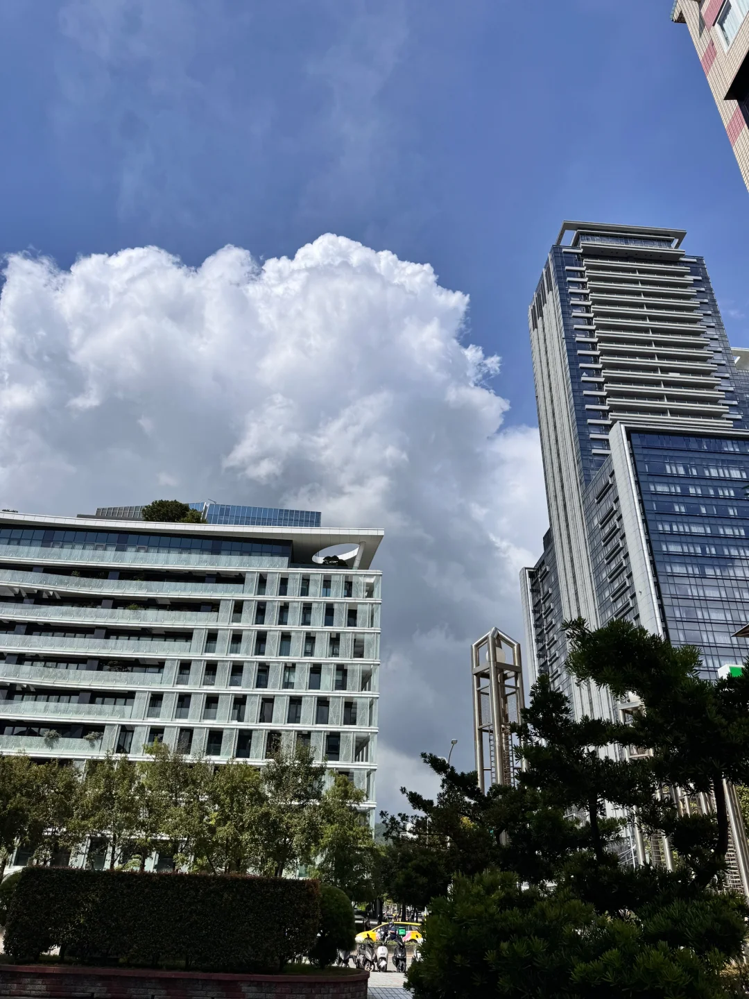 二次囊胚移植失利：深入解析供卵代怀的挑战与应对策略